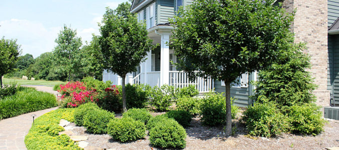 Rural Landscape St. Louis