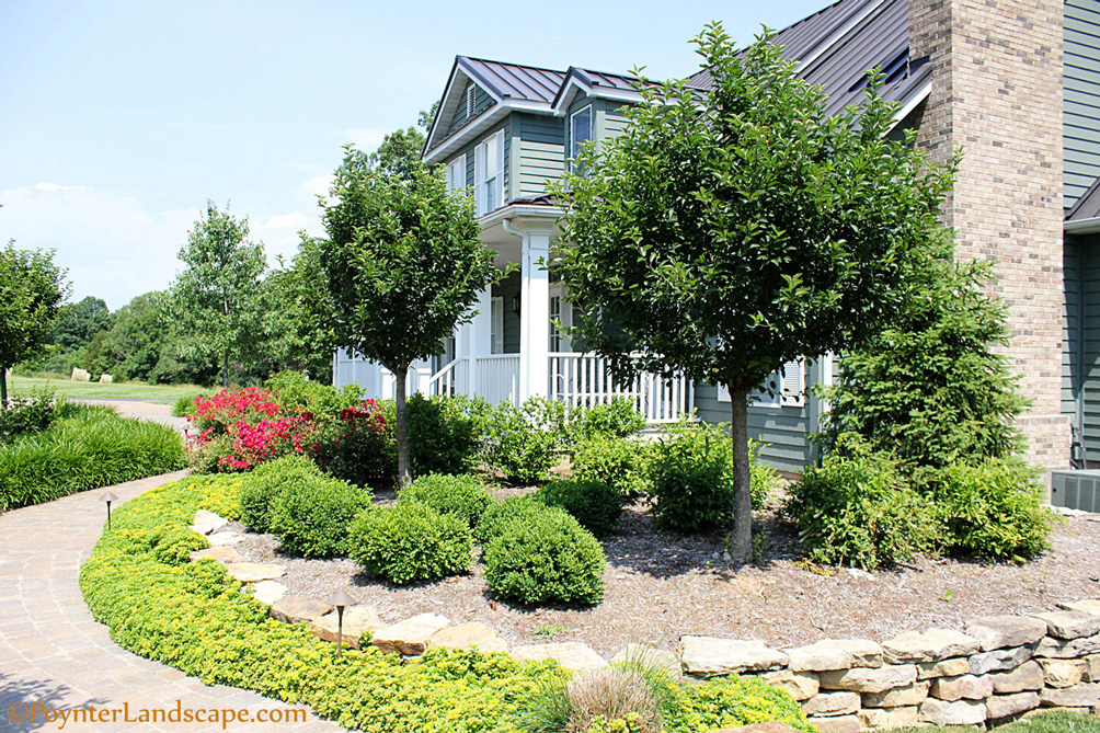 front-yard-greenery