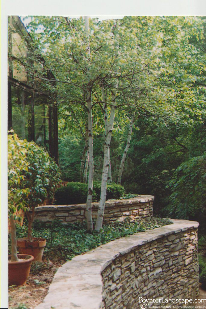 poynter-walls-24-683x1024-1