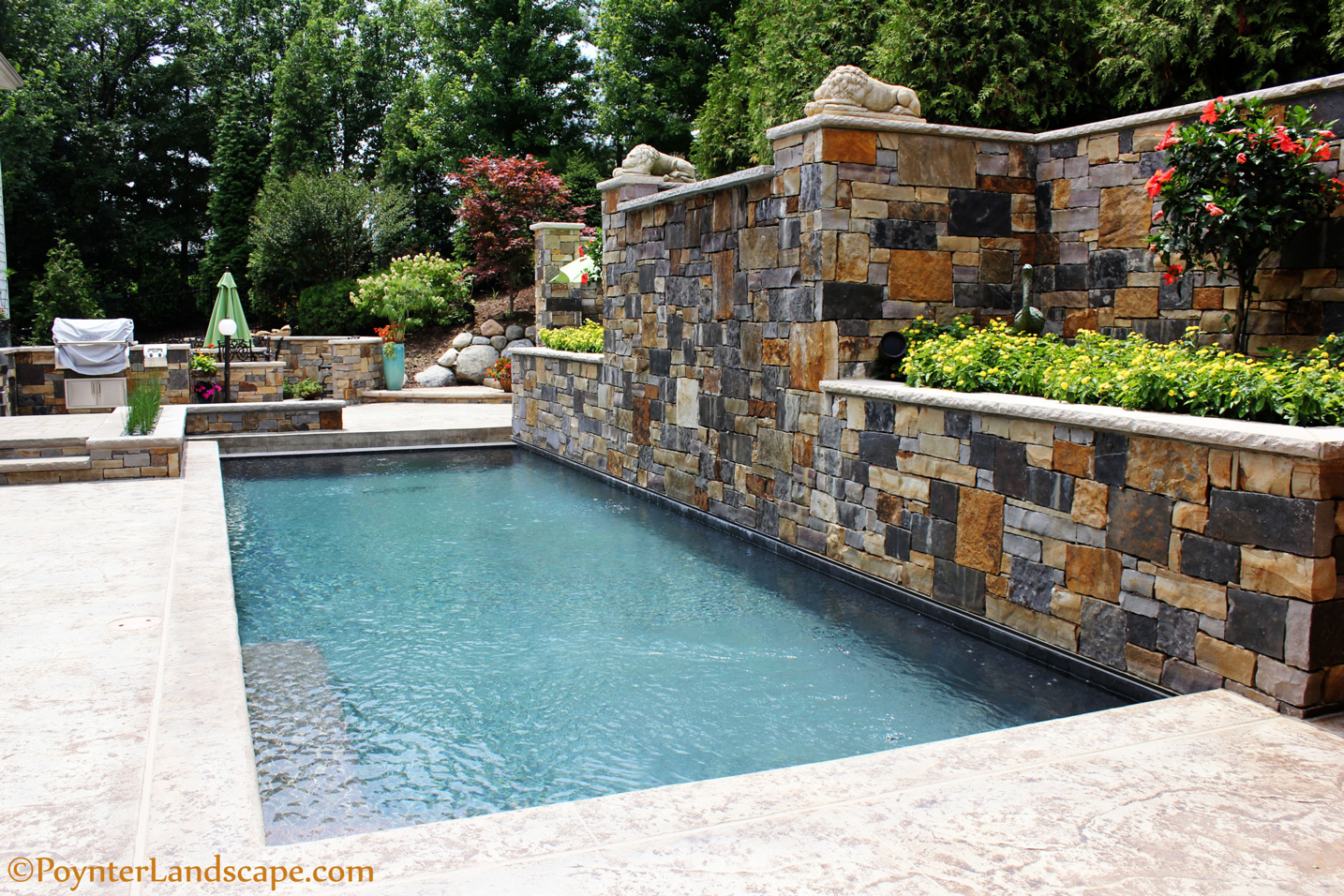 Swimming Pools in St. Louis | St. Louis Pool Design | Poynter Landscape