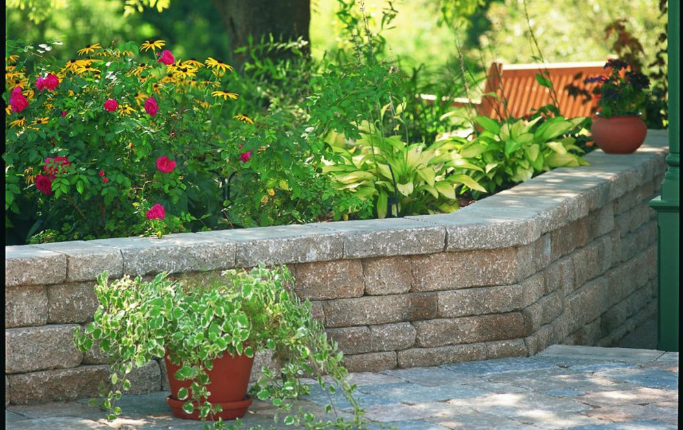 The Six Best Fall Annuals For Your Garden Poynter Landscape