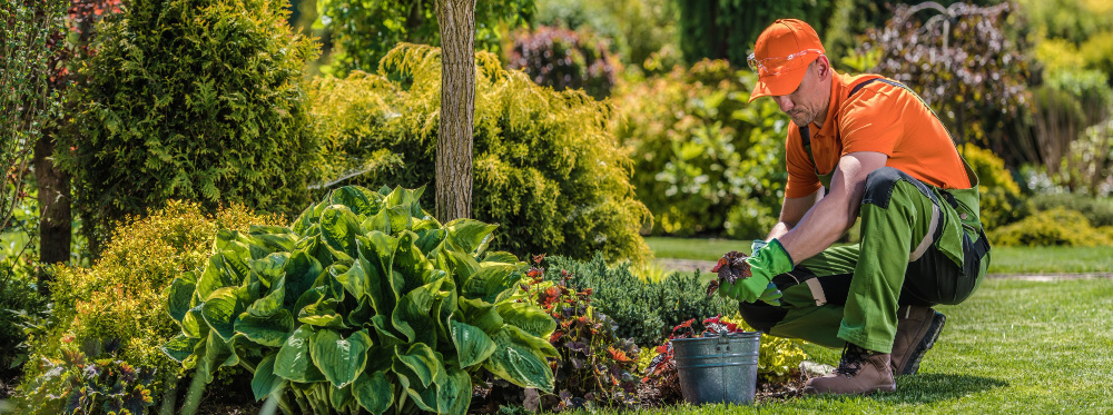 Gardening Services Maryland Heights, MO | Residential Landscape Architecture | Gardening & Landscape Near Maryland Heights