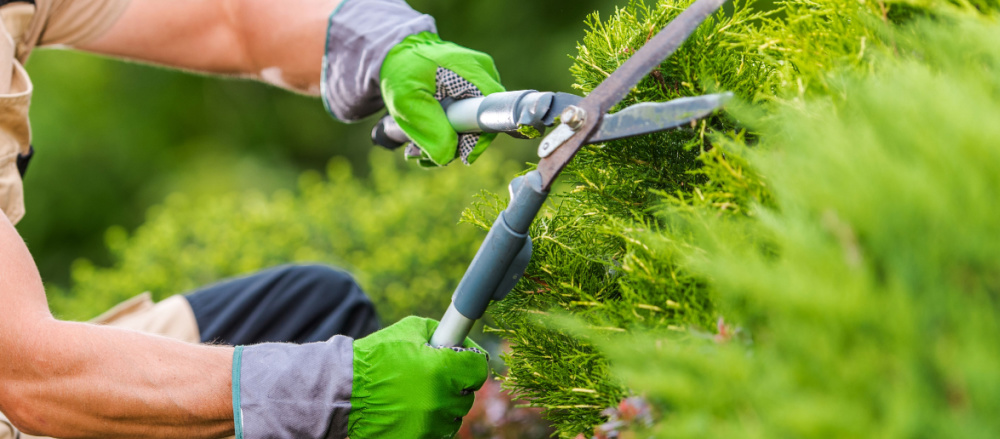 Gardeners Near Me Webster Groves, MO | Gardening and Landscaping | Spring & Fall Cleanup Near Webster Groves
