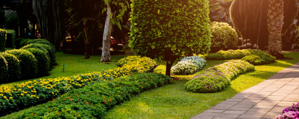 Landscape Design Near Me in University City, MO | Landscaping Companies | Landscaping and Hardscaping Services Near University City