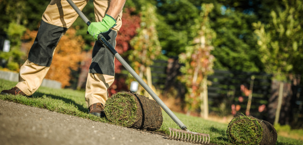 Landscaping Near Me Ballwin, MO | Ballwin, MO Outdoor Spaces | Poynter Landscape