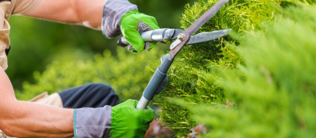 Gardening Maintenance in Valley Park, MO | Valley Park, MO Landscape Services | Poynter Landscape