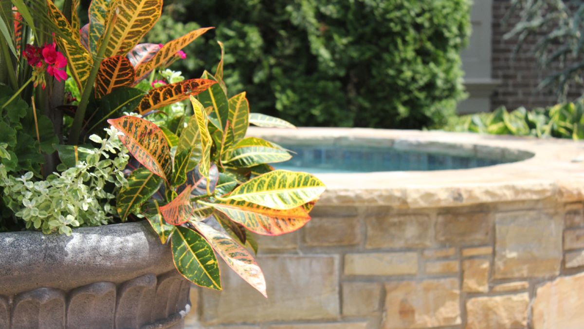 Landscape Ideas for Swim Spas | Outdoor Landscaping | Poynter Landscape