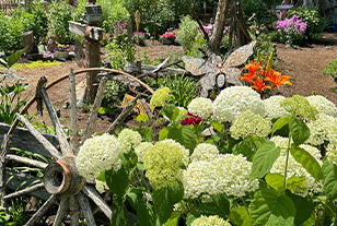 Plantings-St-Louis