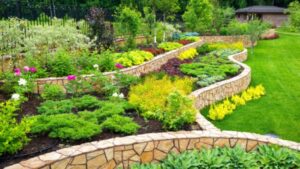 outdoor-erosion-control-vegetation