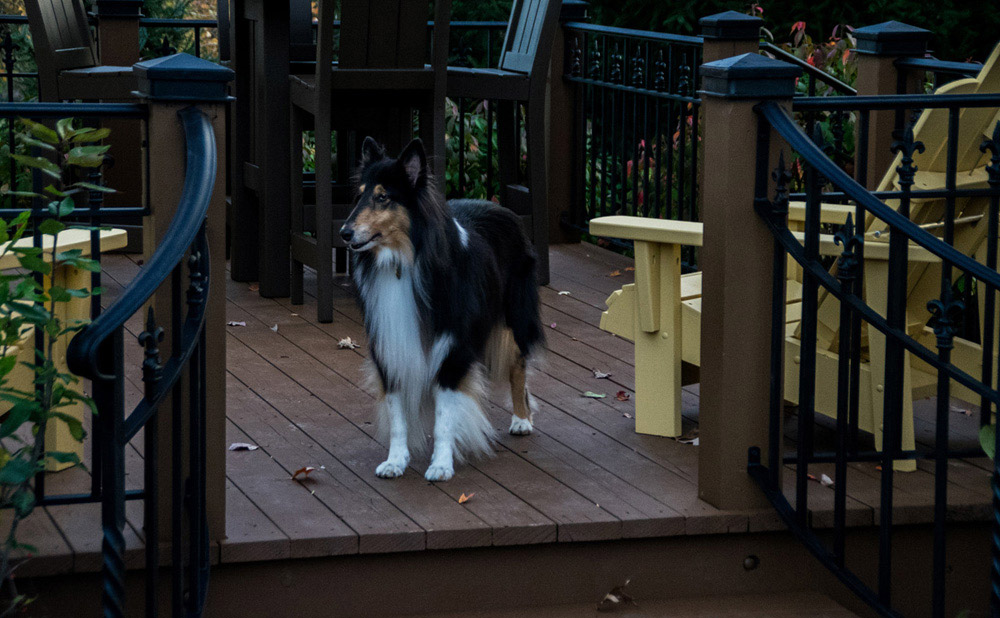 Deck-Installation-St-Louis-1